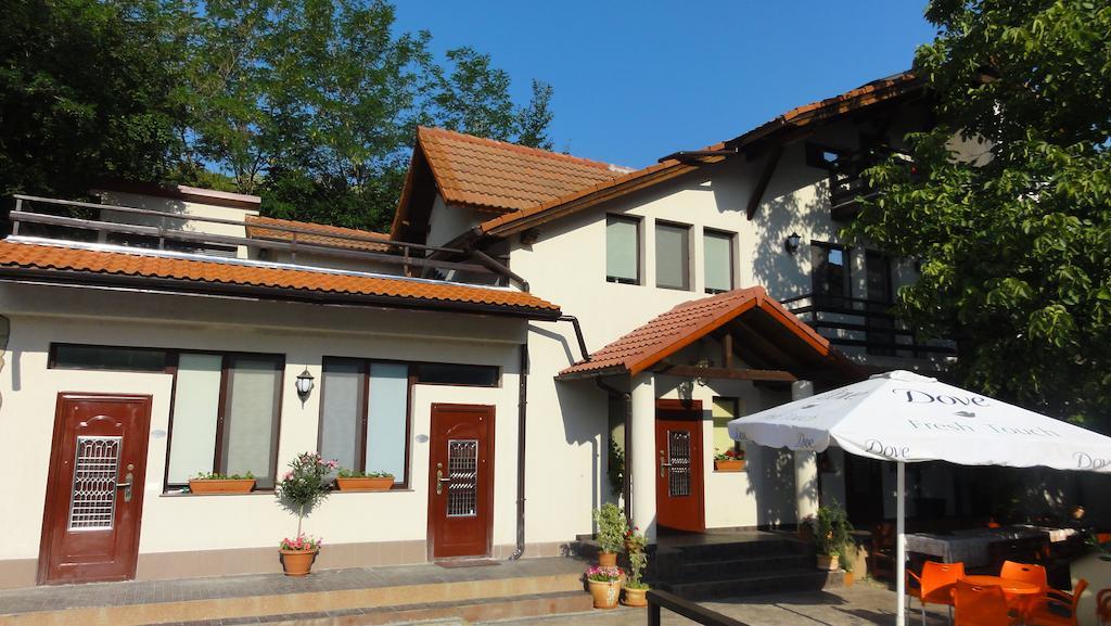 Vila Europa Sărata-Monteoru Esterno foto