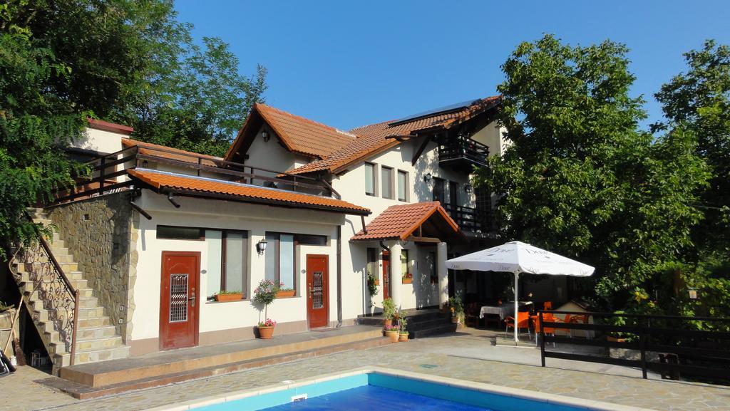 Vila Europa Sărata-Monteoru Esterno foto